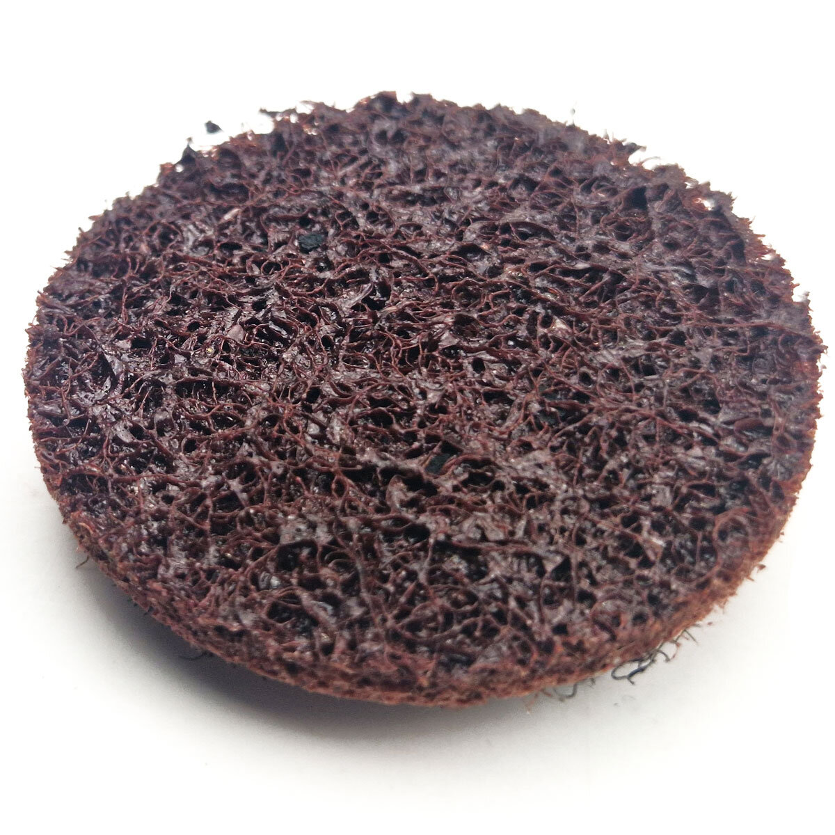 3M Roloc Scotch-Brite Roloc Rondell 50mm