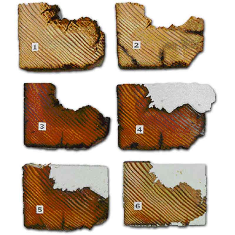 Lignu Epoxifiller Fill-It